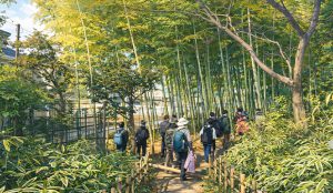 水と緑のネットワーク拠点
